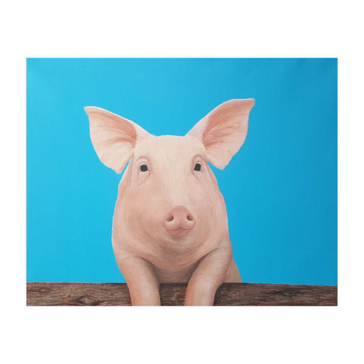 Pig (Print Only)