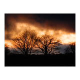 Spring Sunset (Print Only) thumbnail