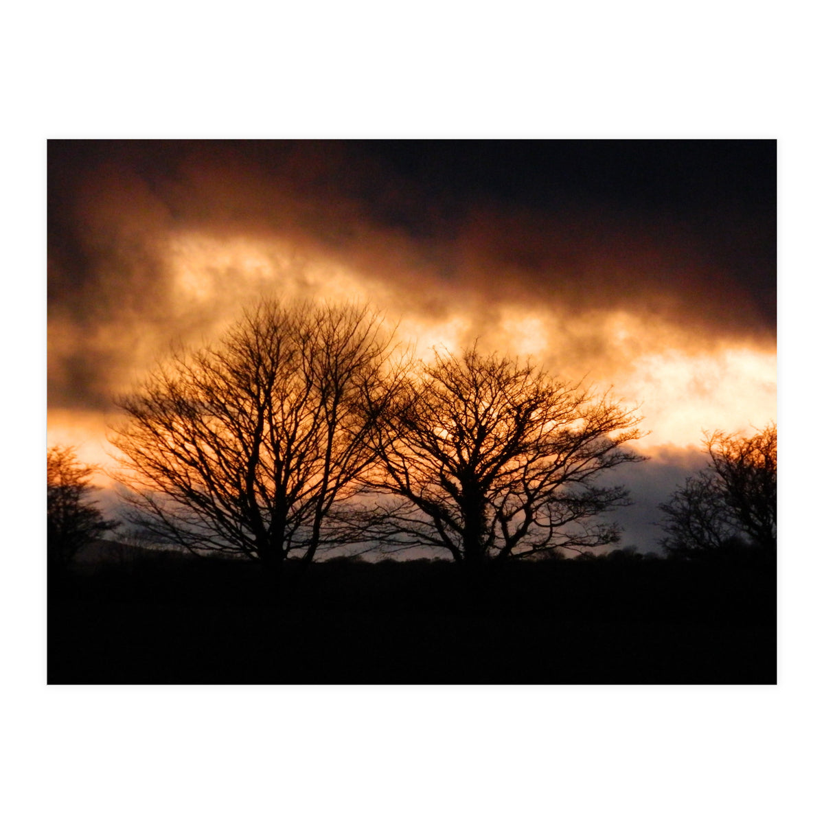 Spring Sunset (Print Only)