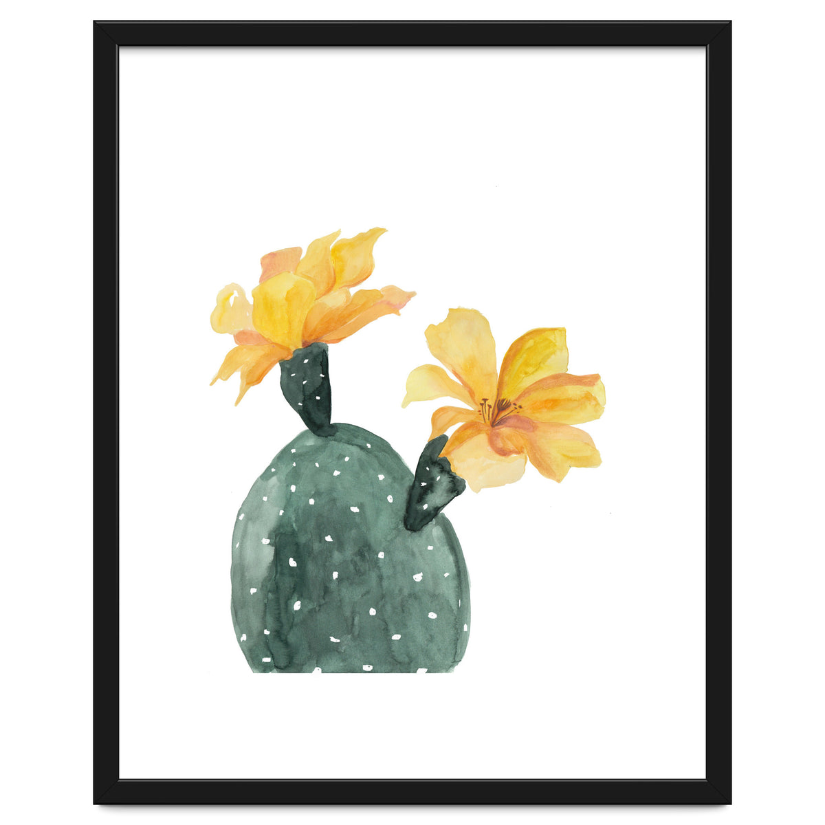 Botanical Illustration Yellow Cactus Flowers