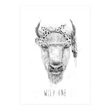 Wild One (Print Only) thumbnail