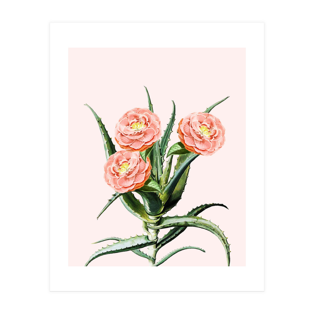 Blush Cactus V2 (Print Only)