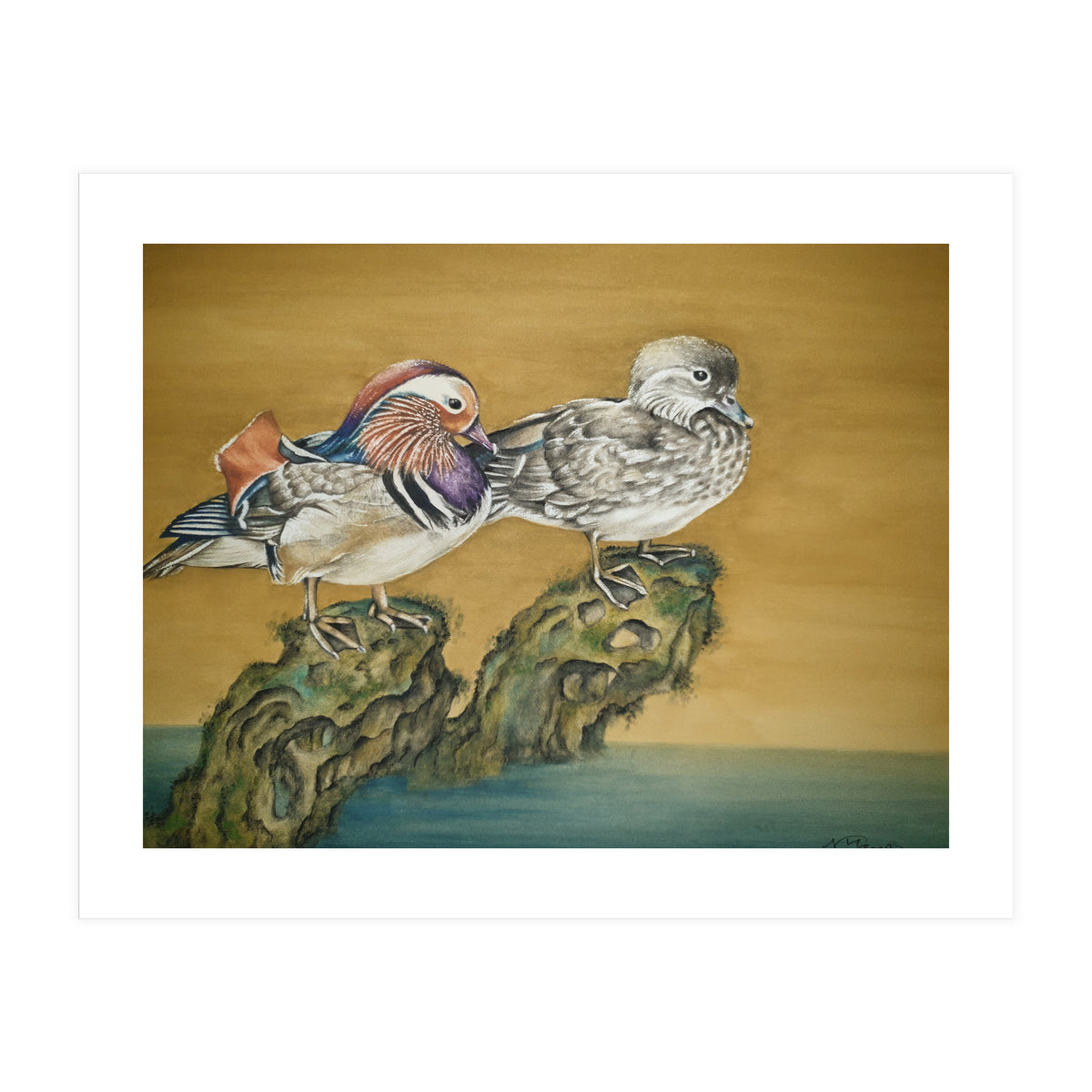 Mandarin Ducks (Print Only)