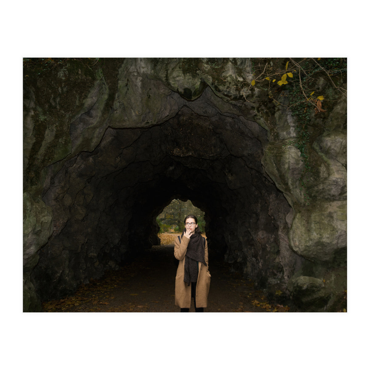 Transition from Summer to Winter (Print Only)