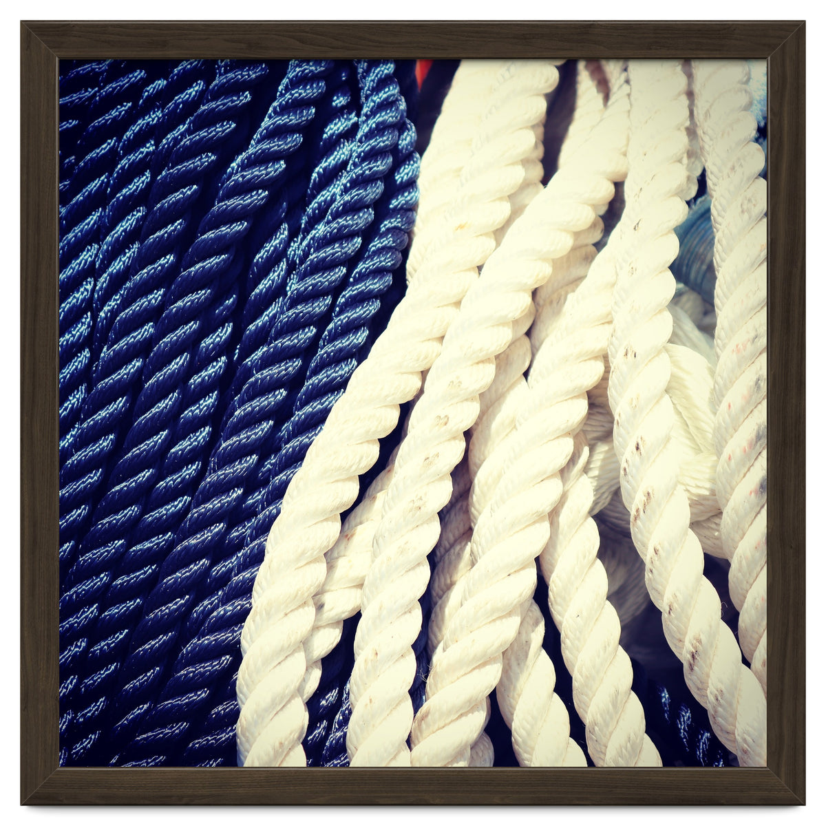 Blue and white fishing rope