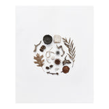 Treasures From Nature No. 2 (Print Only) thumbnail