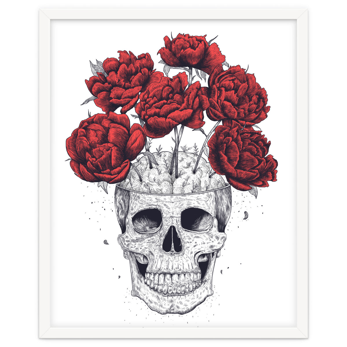 Skull With Peonies