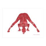 Prasarita Padottanasana in Red (Print Only) thumbnail
