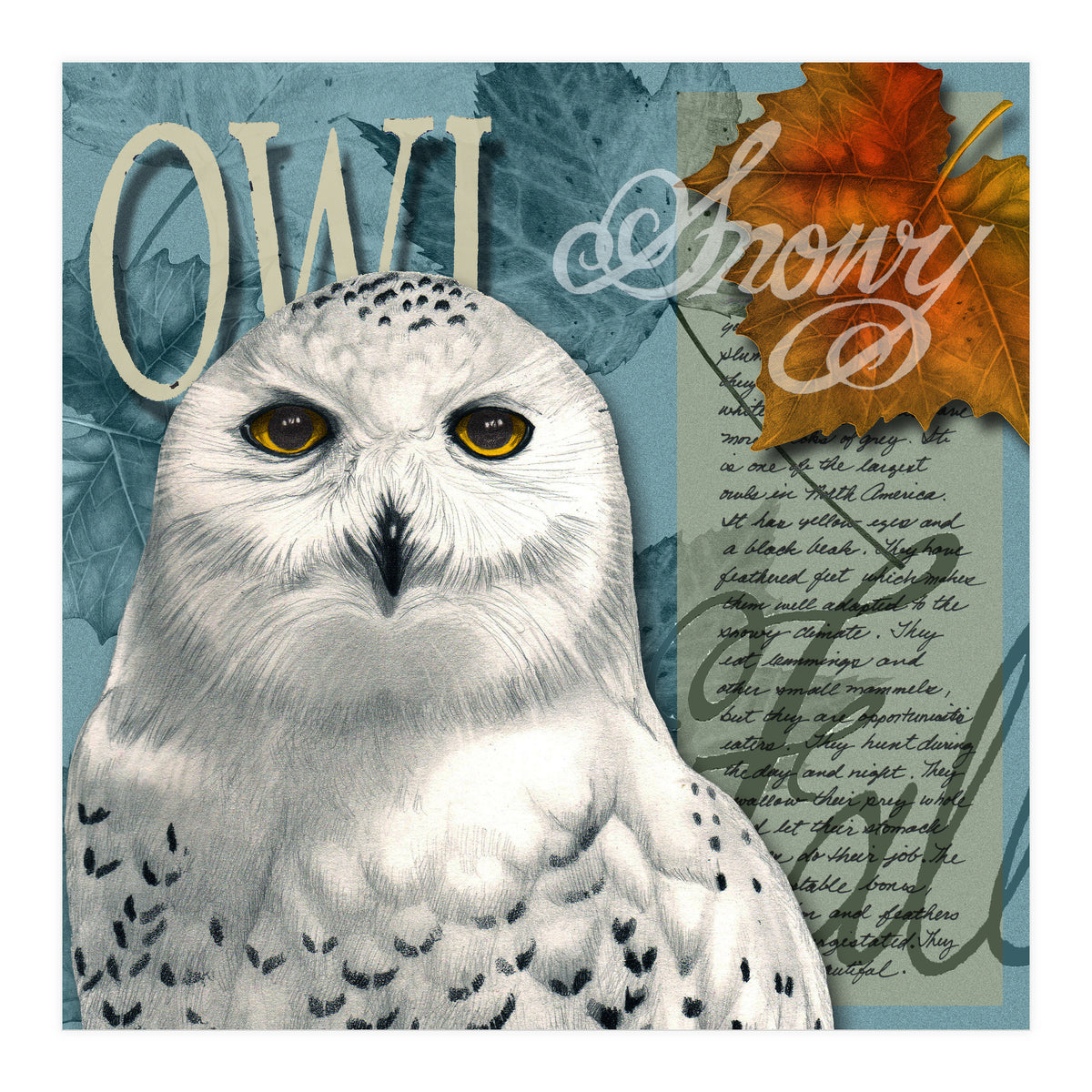 Snow Owl (Print Only)