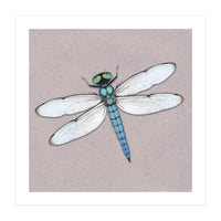 Blue dragonfly (Print Only)