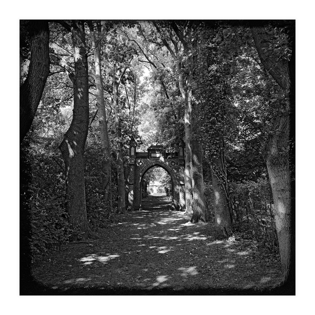 Alley to a cemetery (Print Only)
