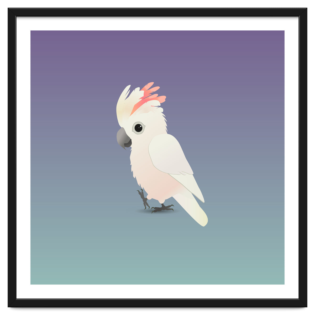 Salmon-crested cockatoo