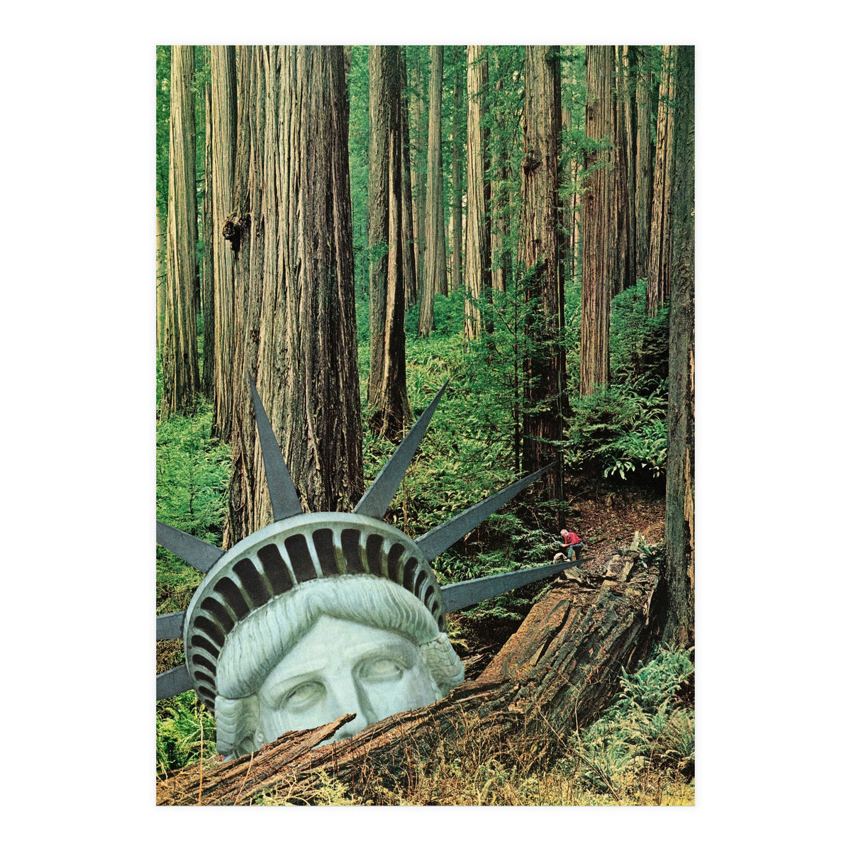 Multiverse (Print Only)