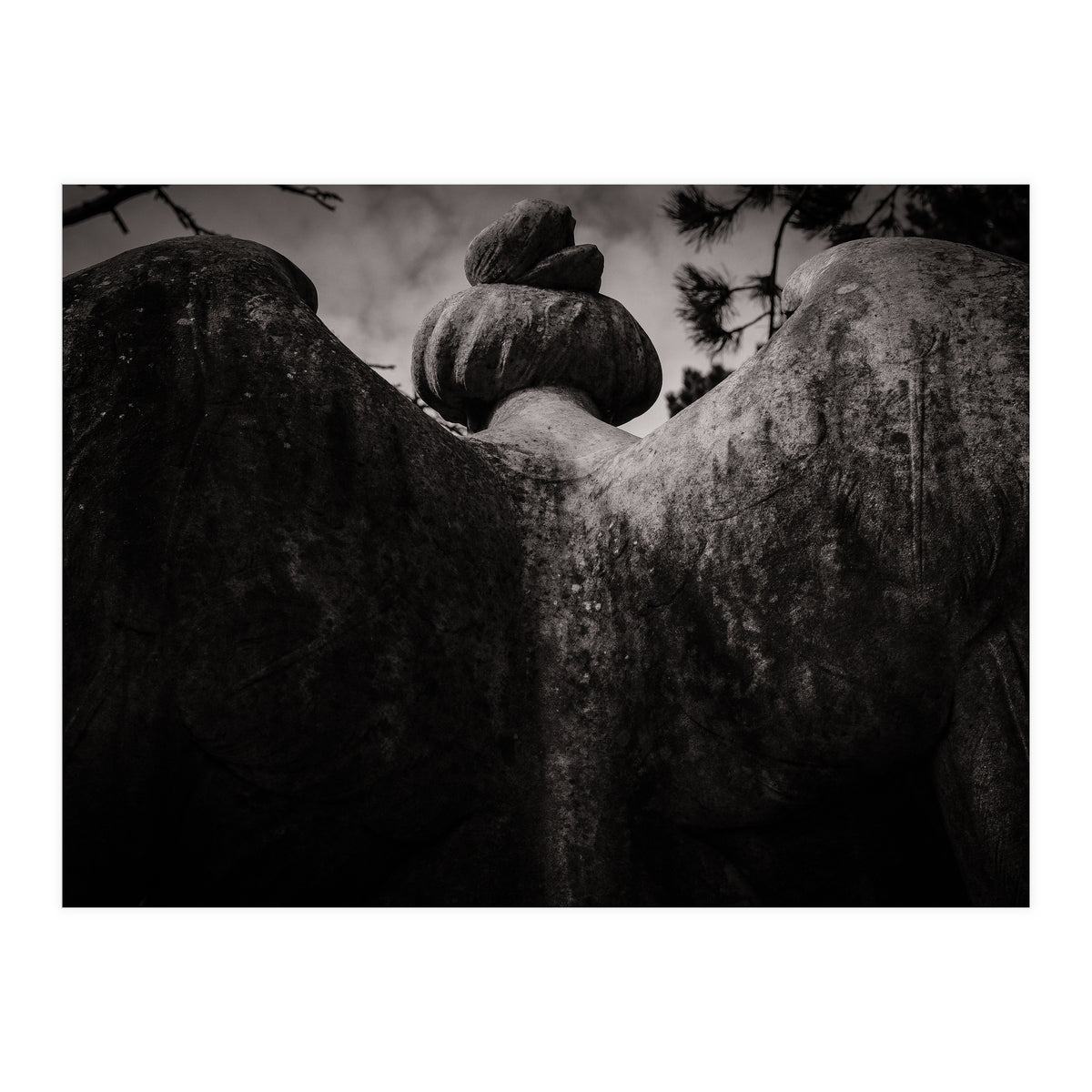 Angel Wings (Print Only)