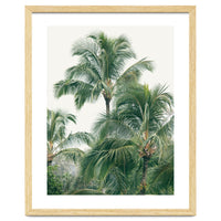 Lush Palm Trees