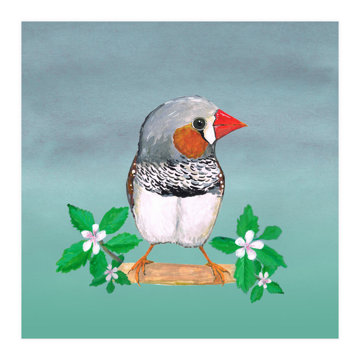 Zebra finch (Print Only)
