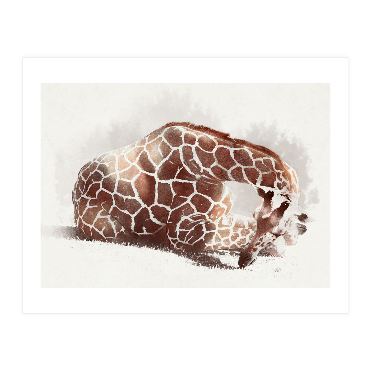 Giraffe (Print Only)