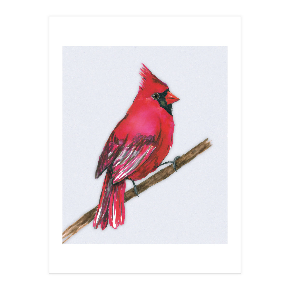 A Northern cardinal watercolor (Print Only)