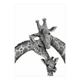Giraffe Family (Print Only) thumbnail