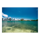 305 (Print Only) thumbnail