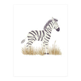 Zebra  (Print Only) thumbnail