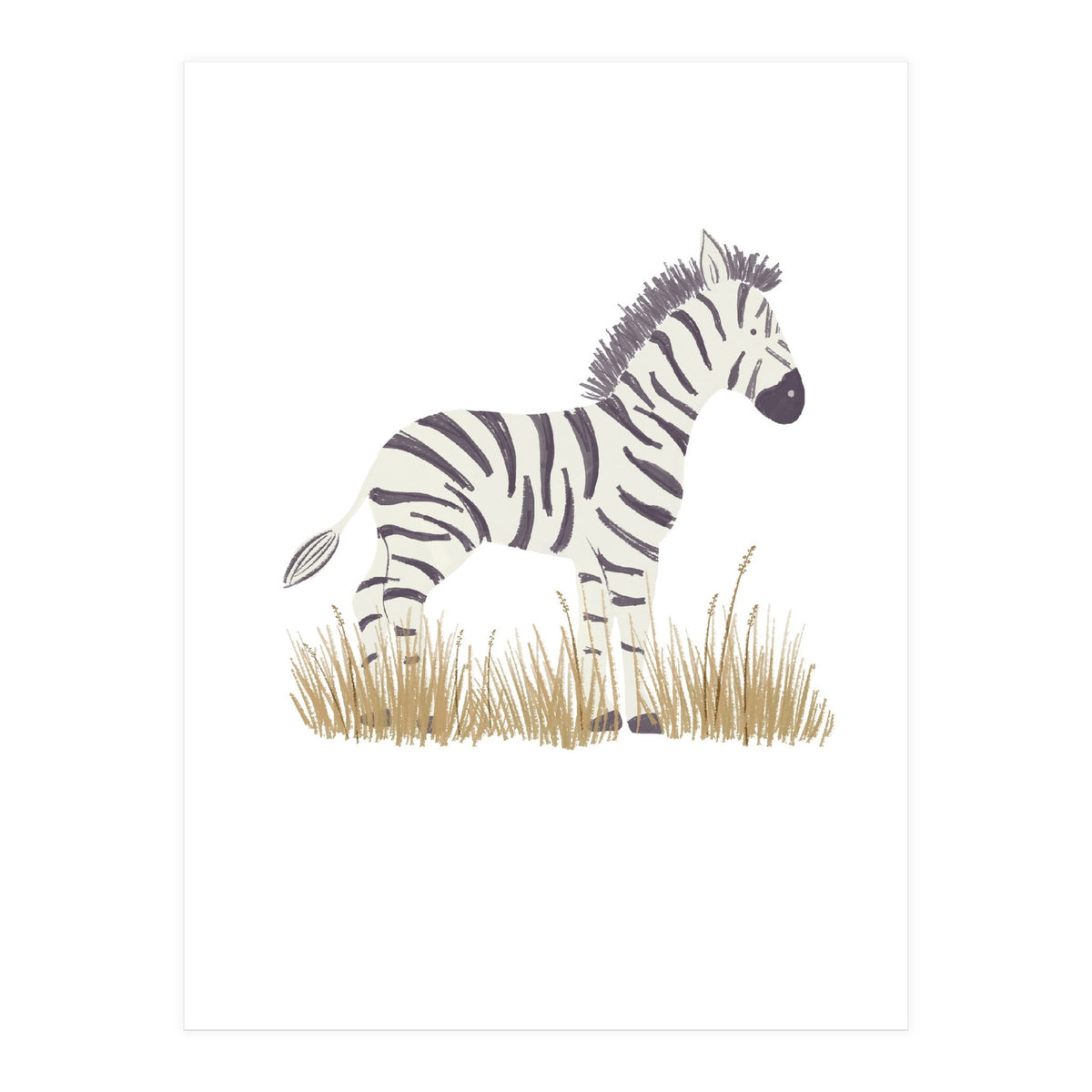 Zebra  (Print Only)
