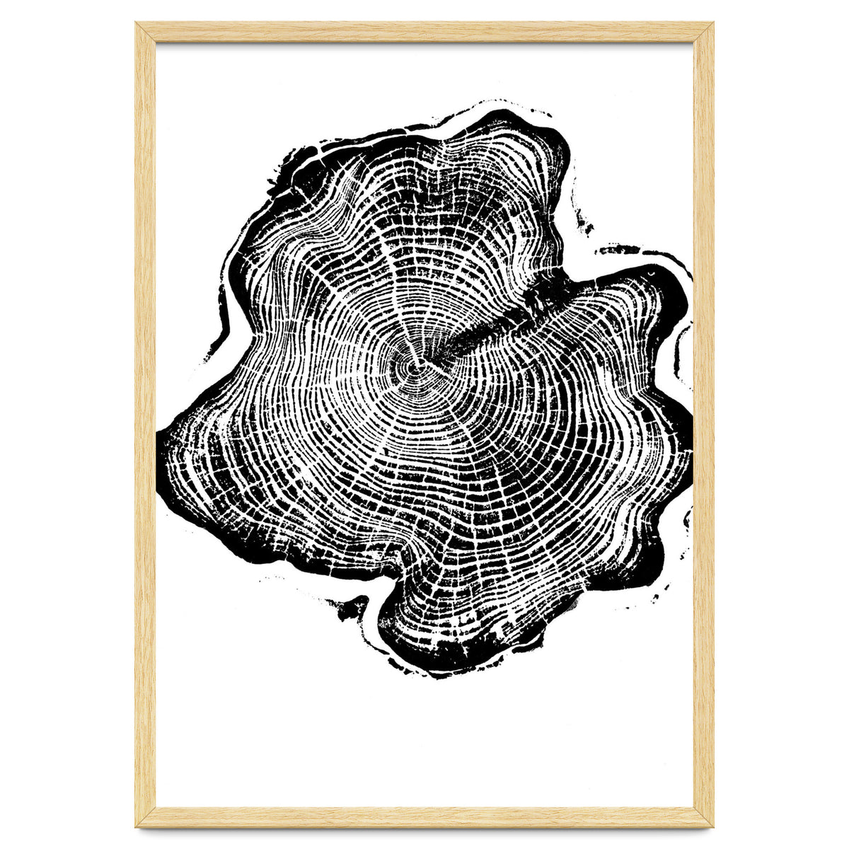Alaskan Cypress, Tree Ring Art Print, Woodblock