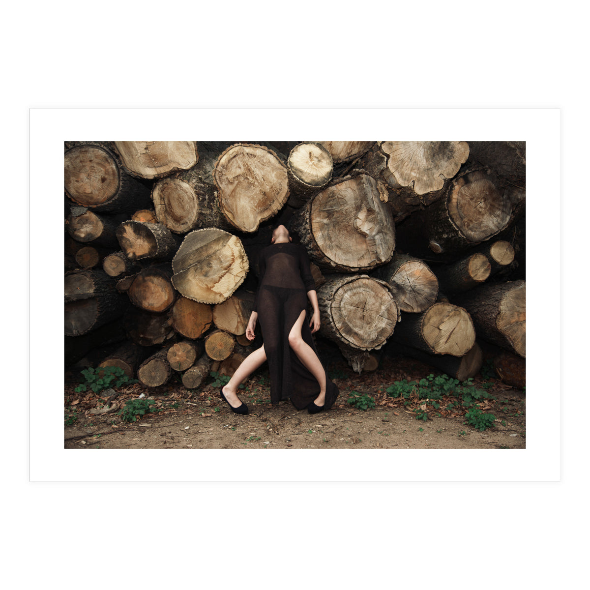 Slow Dancing Society (Print Only)