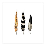 Earth Feather (Print Only) thumbnail