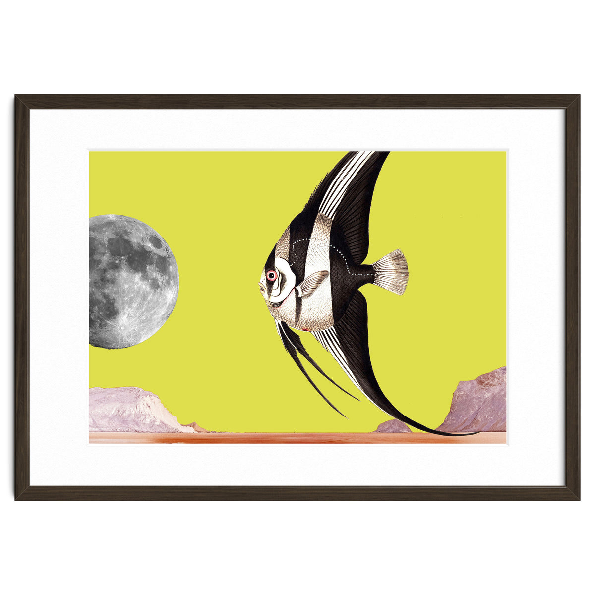 Plenty of fish in the sea yellow