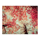 Scarlet (Print Only) thumbnail