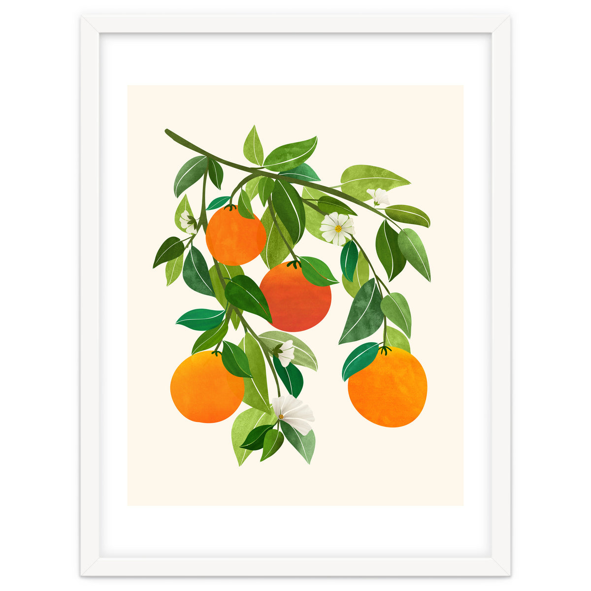 Oranges and Blossoms II