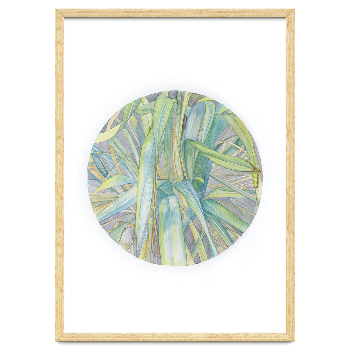 Grasses In The Late Summer Light