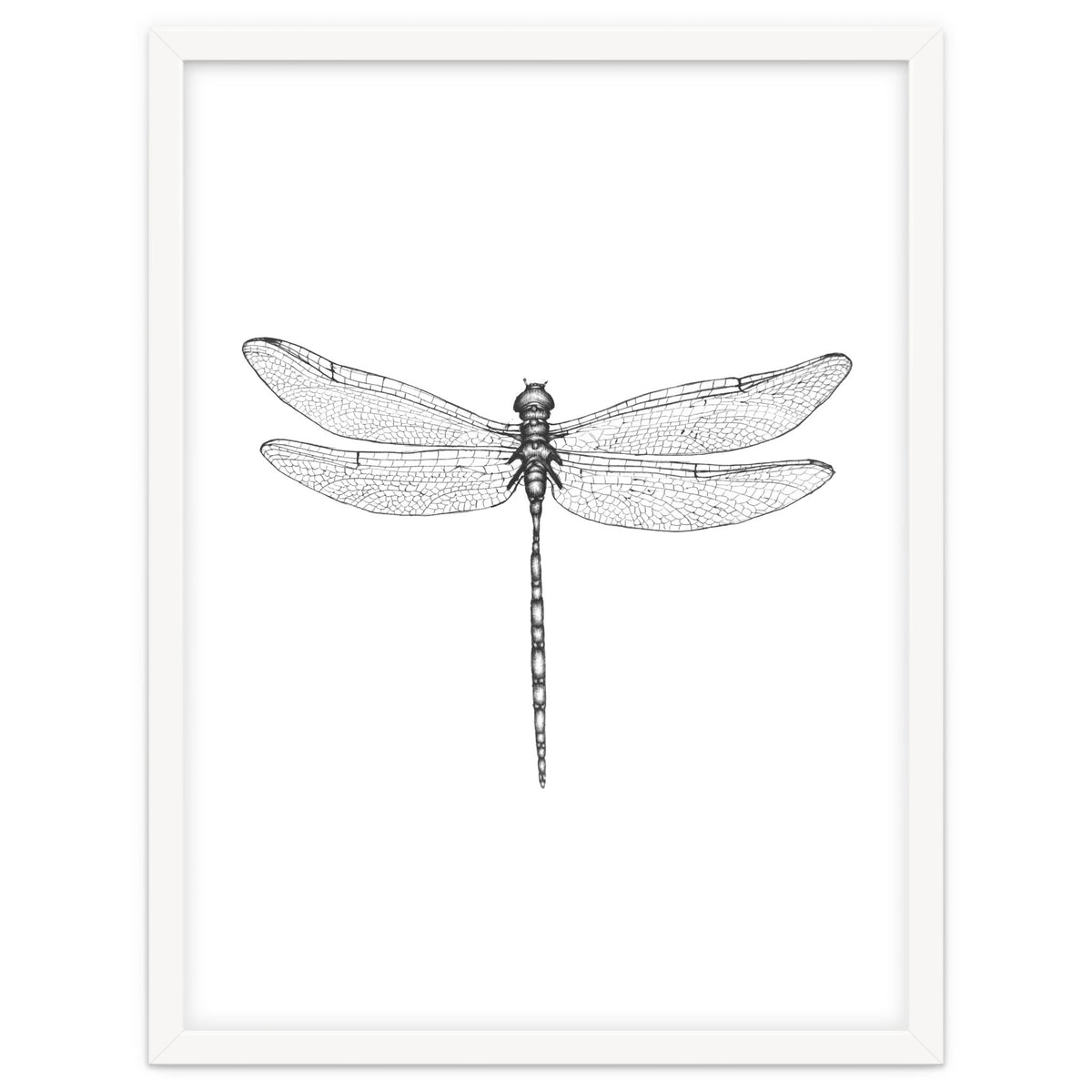 Dragonfly Wings
