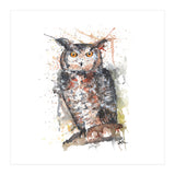 Owl - Wildlife Collection (Print Only) thumbnail