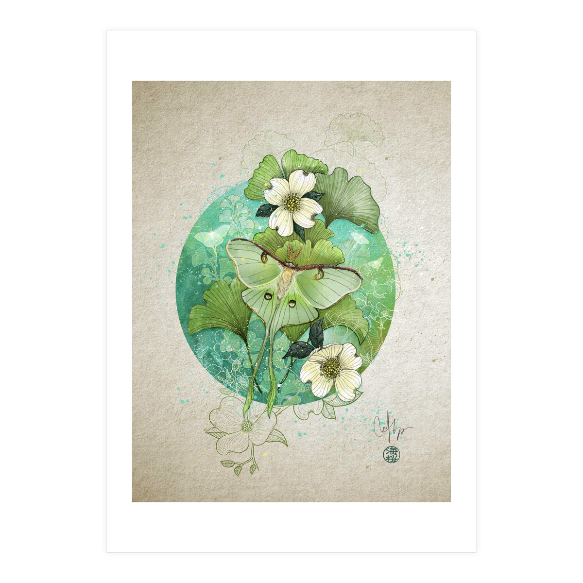 Luna Moth  (Print Only)