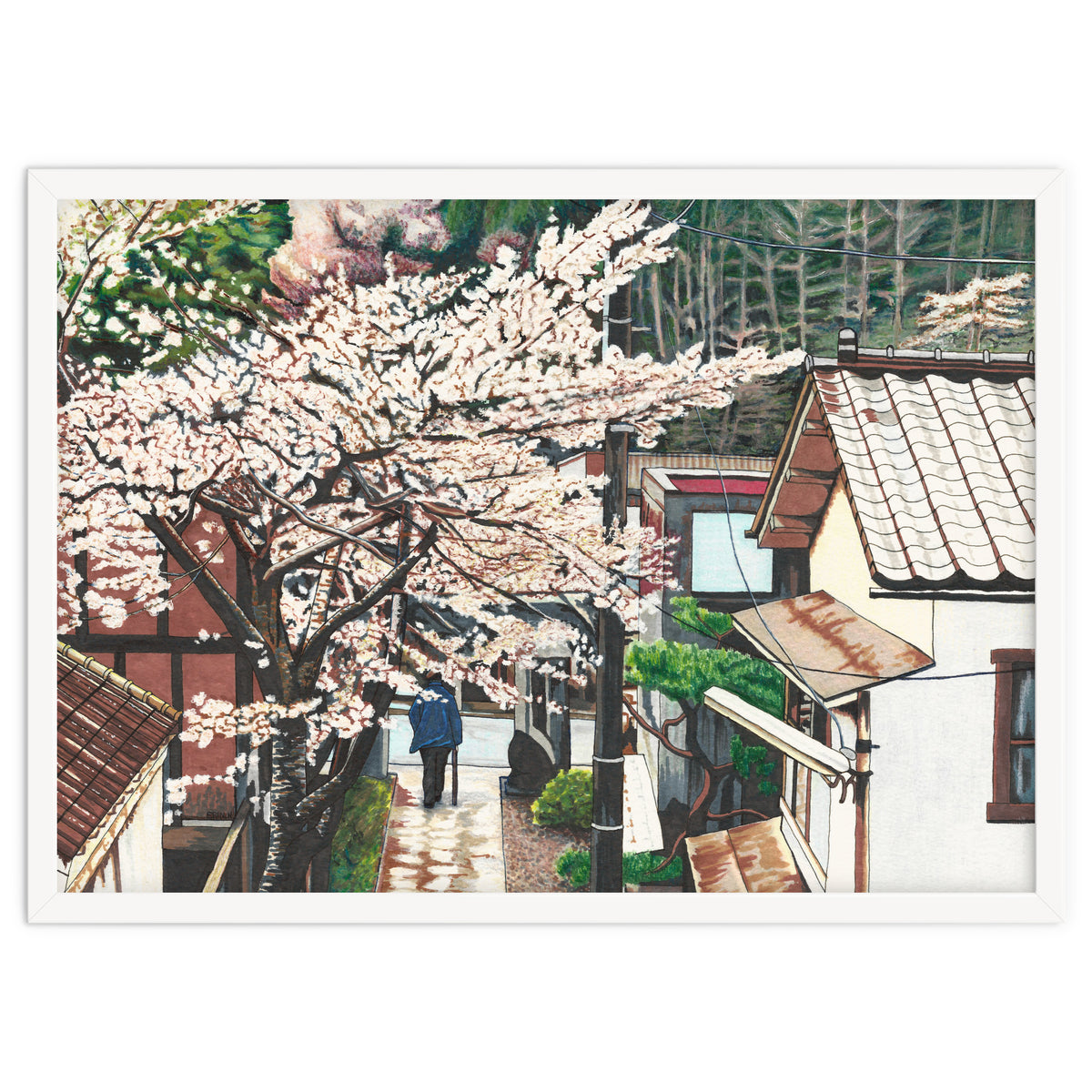 Passing by Cherry Blossoms