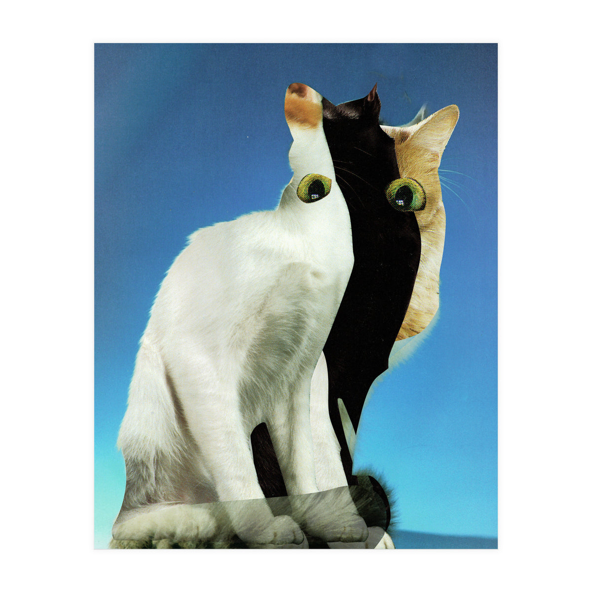 KatzenJammer 13 (Print Only)