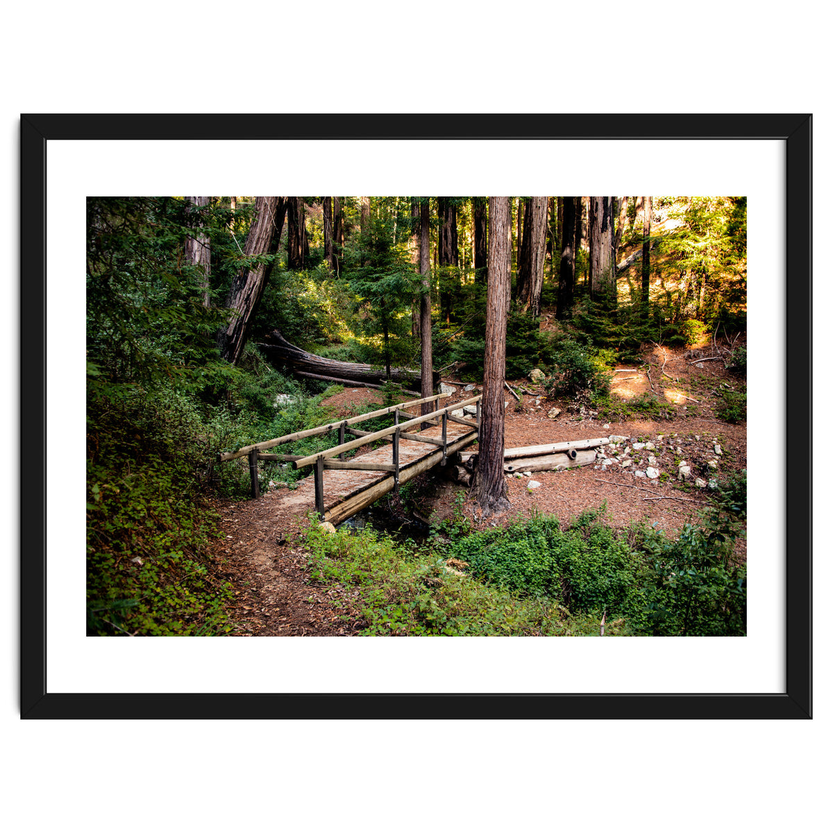 Ewoldsen Loop Bridge