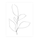 Five Leaf Plant (Print Only) thumbnail