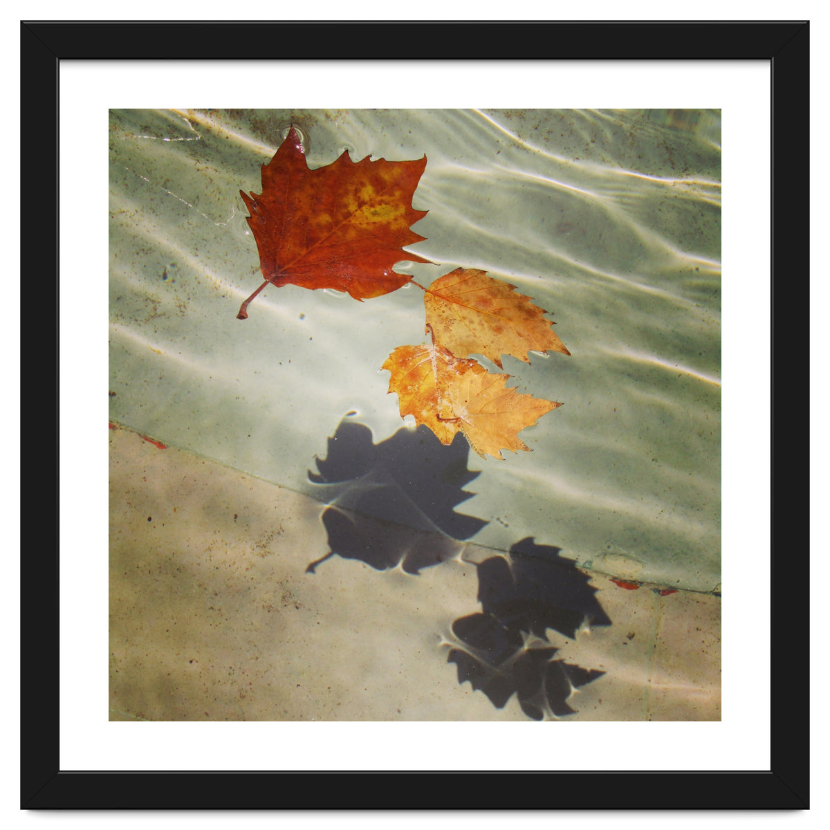 Floating leaves