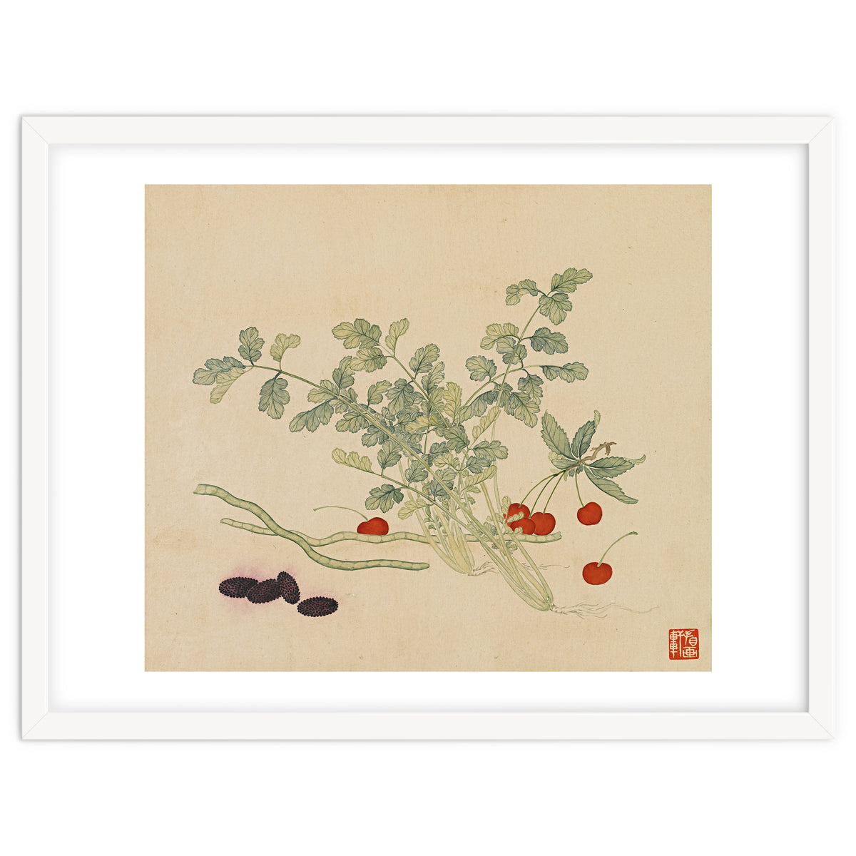 Wang Chengyu~flowers And Vegetables, Vegetables, Fruits, Beans, Red Beans, Cherries, Celery