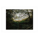 Tomales Bay (Print Only) thumbnail