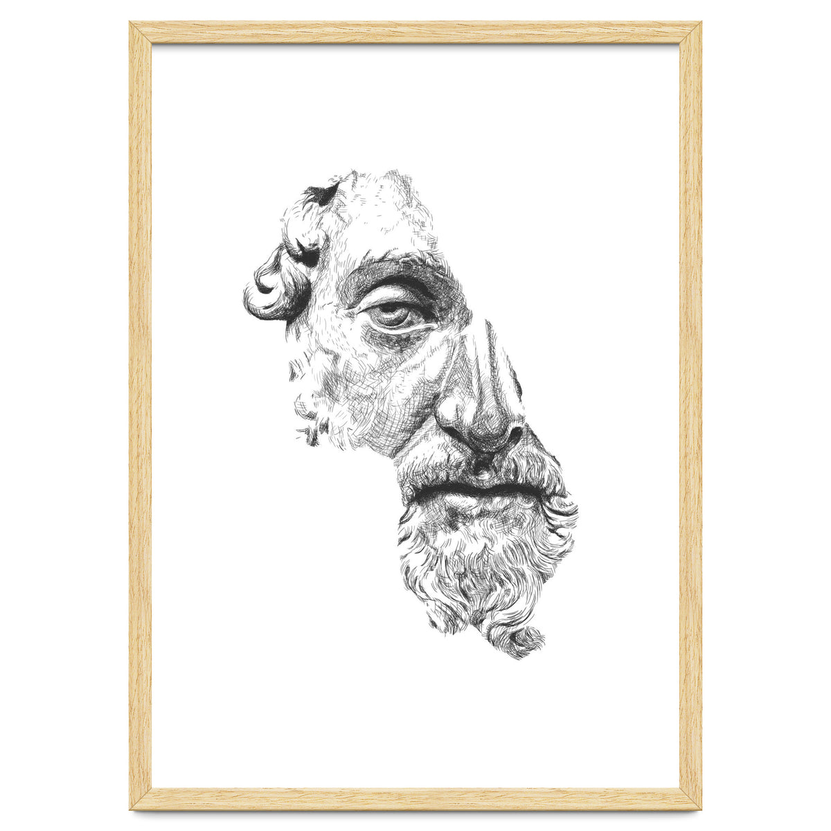 MARCUS AURELIUS ANTONINUS AUGUSTUS / black and white