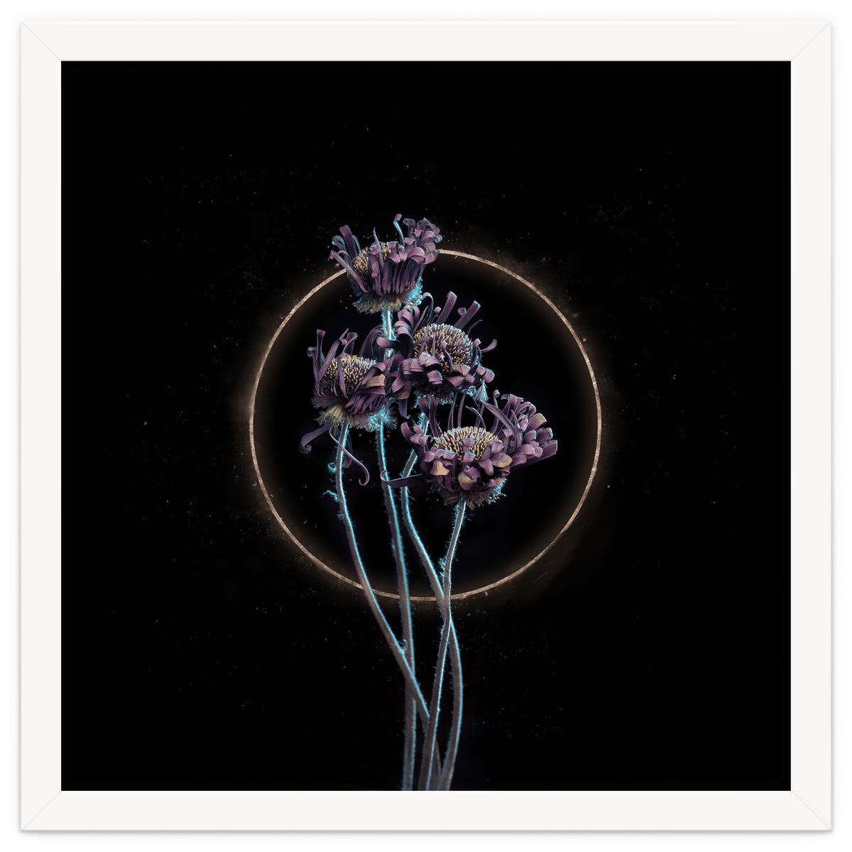 Candy-Coloured Mystery