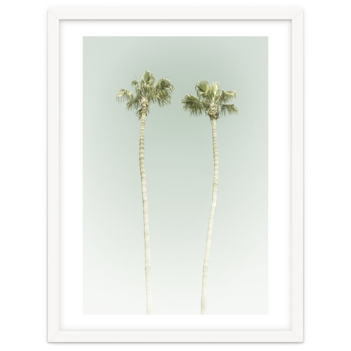 Vintage Palm Trees