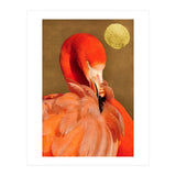 Flamingo With Golden Sun (Print Only) thumbnail