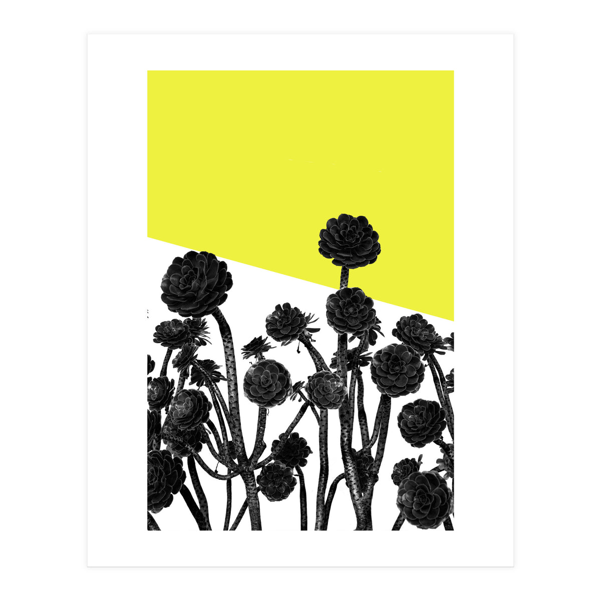 Flowers yellow (Print Only)