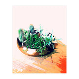 Cacti In A Copper Pot (Print Only) thumbnail