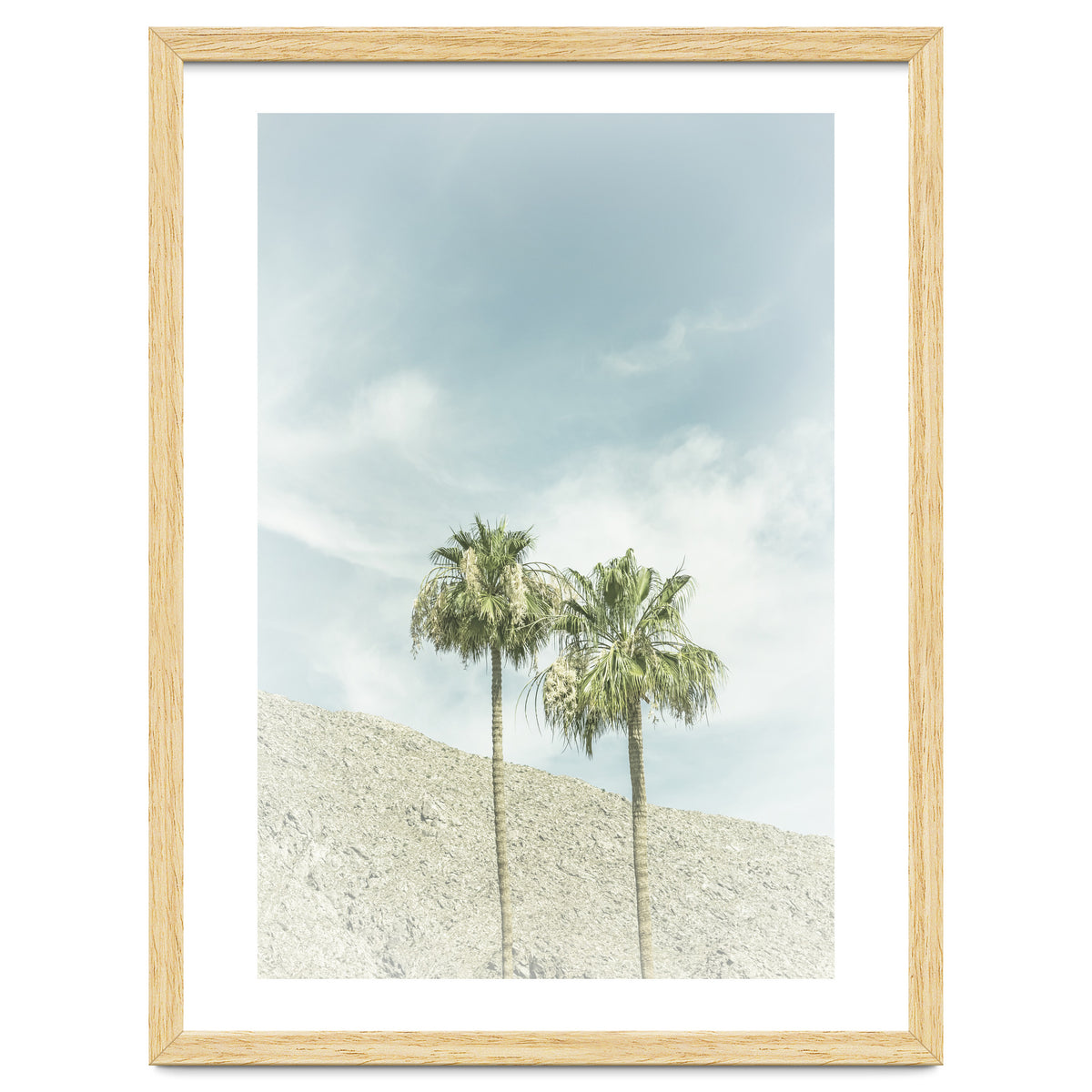 Palm Trees in the desert | Vintage